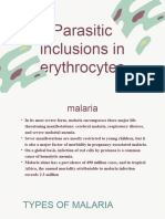 Parasitic Inclusions in Erythrocytes