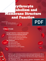 Erythrocyte Metabolism and Membrane Structure and Function