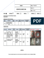 F-MIL-SGI-20 - Reporte de Inspecciòn David R