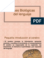 Bases Biológicas del lenguaje