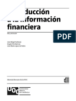 Introduccion Info Financiera