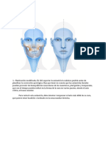 Protocolo Simetria Lado Derecho Dominante Experimental