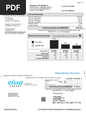 Cirro Energy Invoice