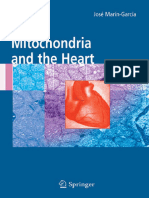 (Developments in Cardiovascular Medicine 256) José Marín-García (eds.) - Mitochondria and the Heart-Springer US (2005)