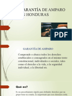 EL DERECHO DE AMPARO EN Honduras (Autoguardado)