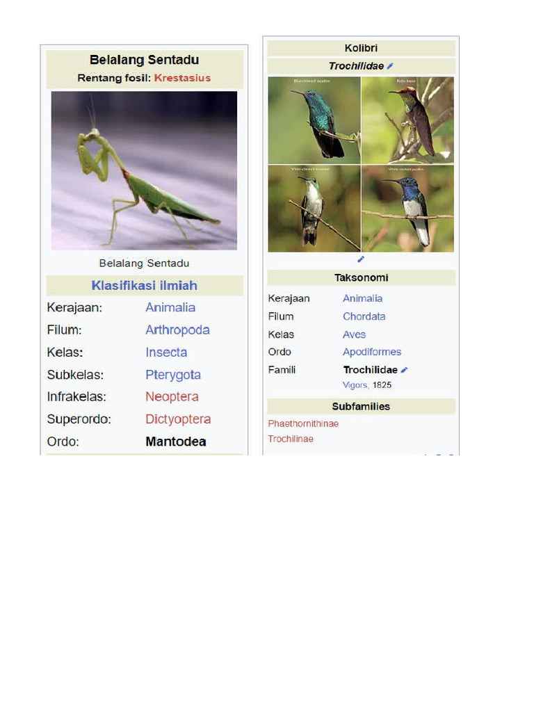 Nama Ilmiah Hewan Indonesia Contoh Harimau Sumatra