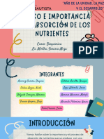 Absorcion de Nutrientes