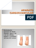 Aparato Cardiovascular Nuevo