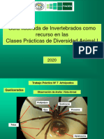 Guía Ilustrada TP Phylum Arthropoda