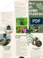 Tríptico Del Reino Plantae