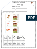 Guia Formativa Ciencias Animales