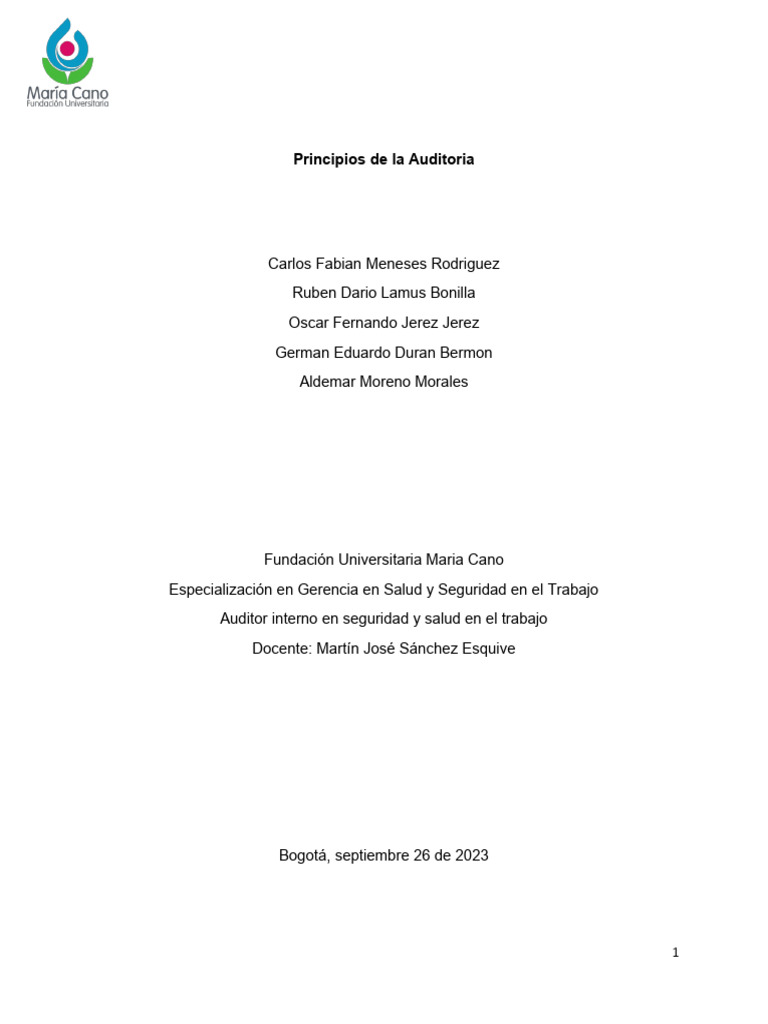 Principios De La Auditoria Pdf Auditoría Contralor