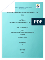 Pea Recuperación Secundaria y Mejorada I