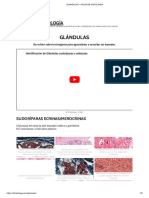 Tema1 - BTejido Epitelial Glandular
