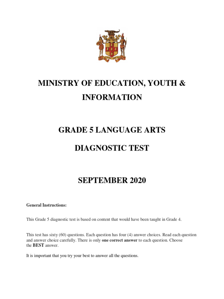 6TH GRADE ENGLISH LANGUAGE ARTS DIAGNOSTIC TEST PDF visual data 6