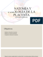 Anatomía y Fisiología de La Placenta