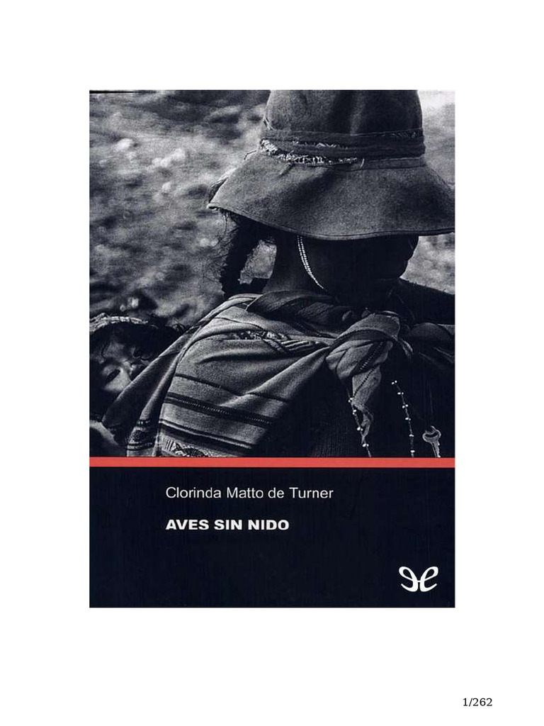 Aves Sin Nido Clorinda Matto Pdf Novelas Aves