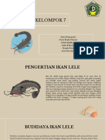 Kelompok 7 Teknindo