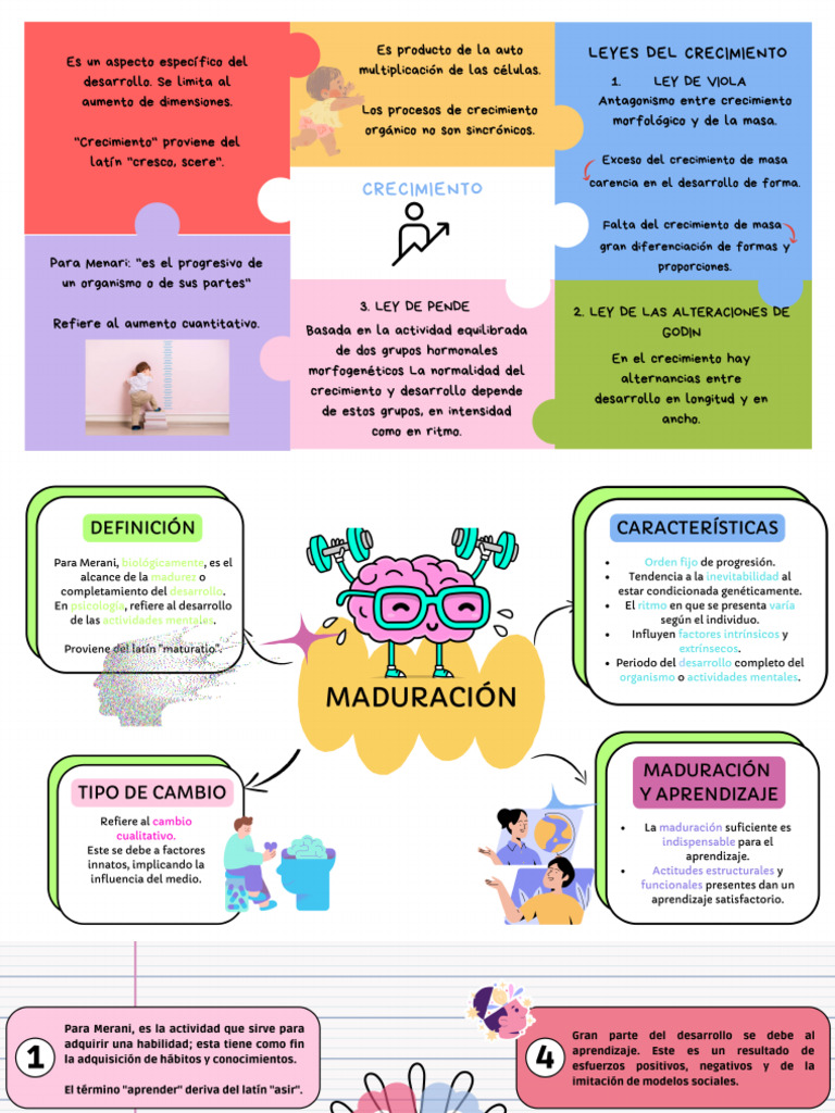 Psicología Del Desarrollo PDF