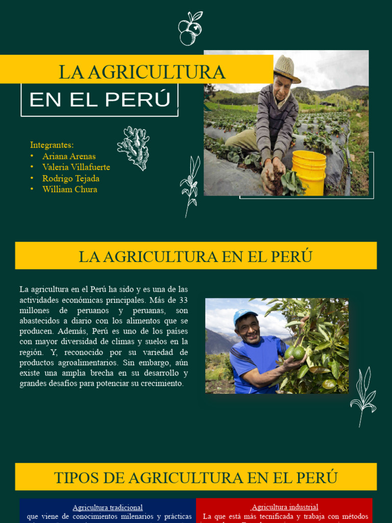 Agricultura En El Perú Pdf Agua Agricultura