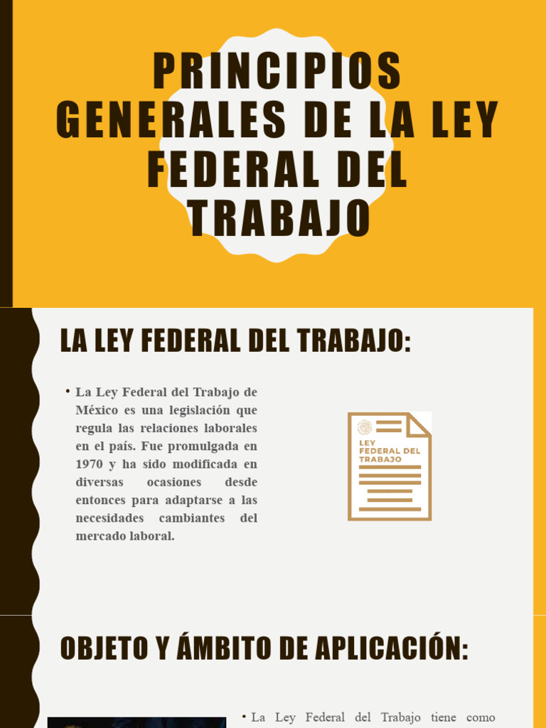 Principios Generales de La Ley Federal Del Trabajo - 082040 | PDF ...