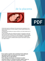 Estructura de La Placenta