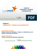 VII. - Liderazgo Colaborativo