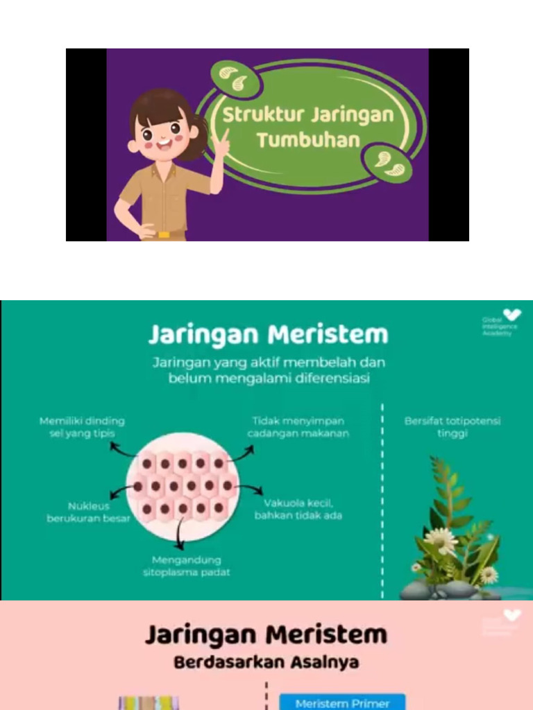 Jaringan Tumbuhan | PDF