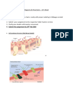 1.diagrams - GP & Blood