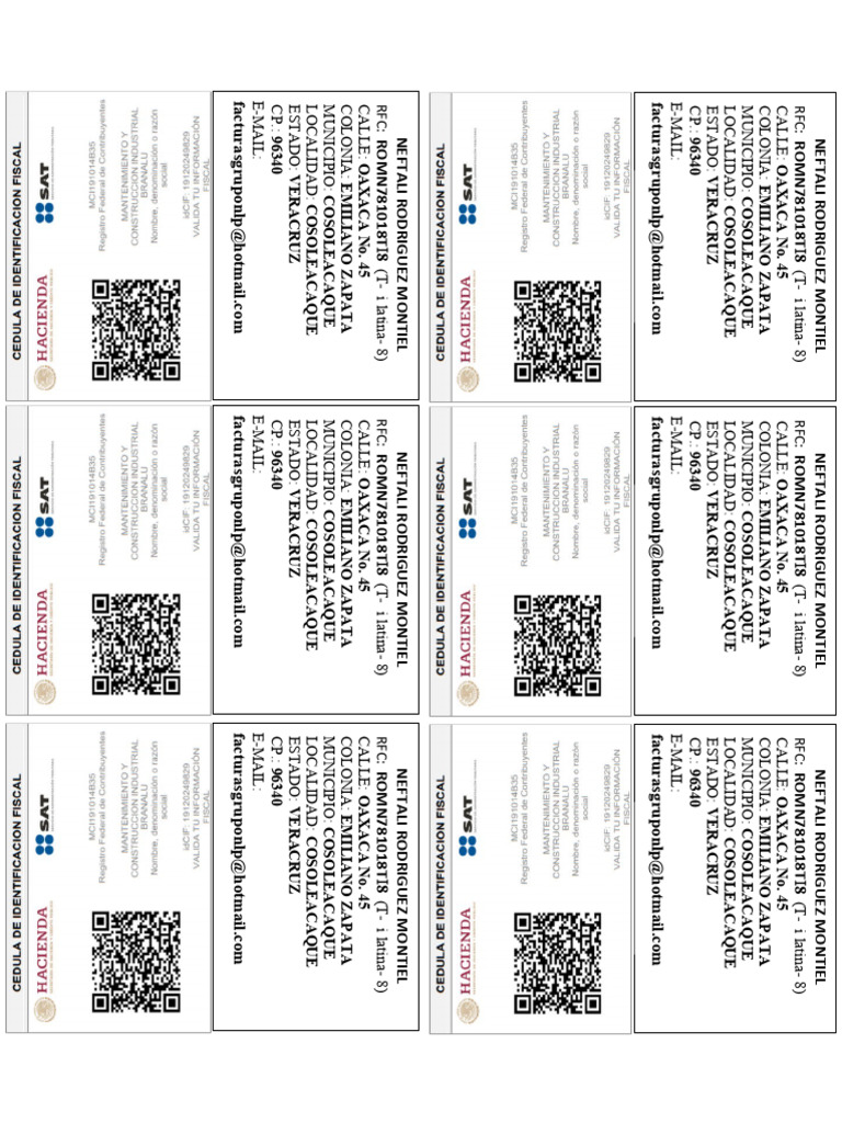 RFC para Imprimir Editable Actual | PDF