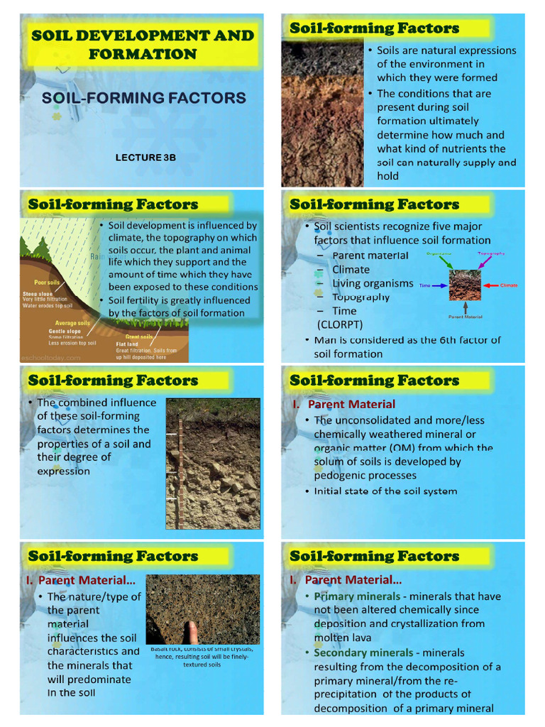 Lecture 3B Soil Development - Soil Forming Factors - For Lecture ...