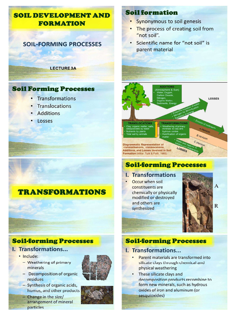 Lecture 3A Soil Development - Soil Forming Processes - For Lecture ...