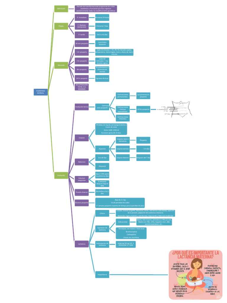 MAPA Puerperio Fisiologico y Complicado | PDF