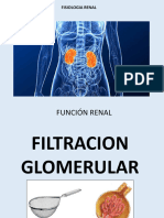 Renal II Funcion renal_230913_140346