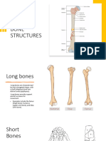 Bone Structures