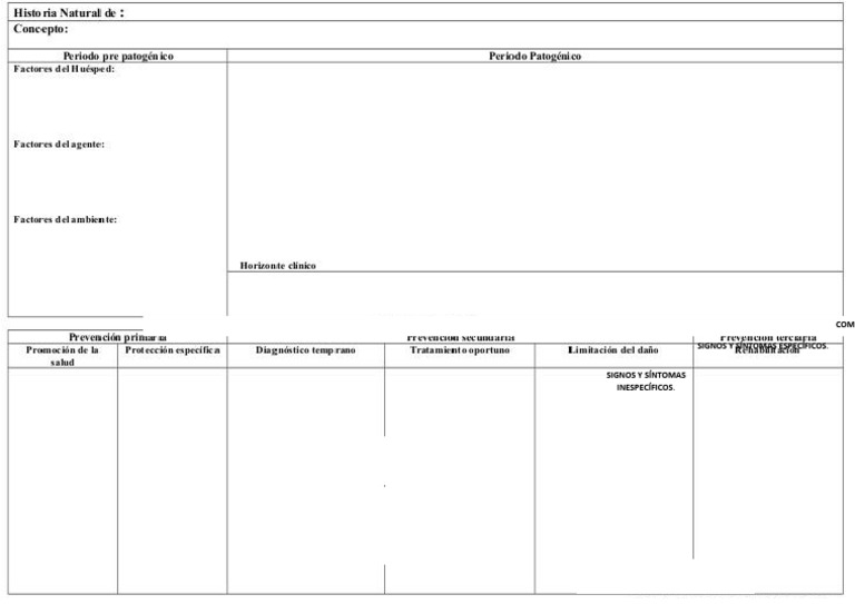 Formato HNE | PDF