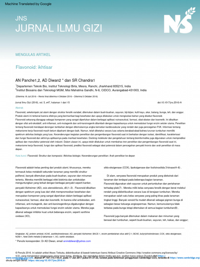 Flavonoids An Overview PDF