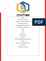 Portafolio de Evidencia Equipo 6