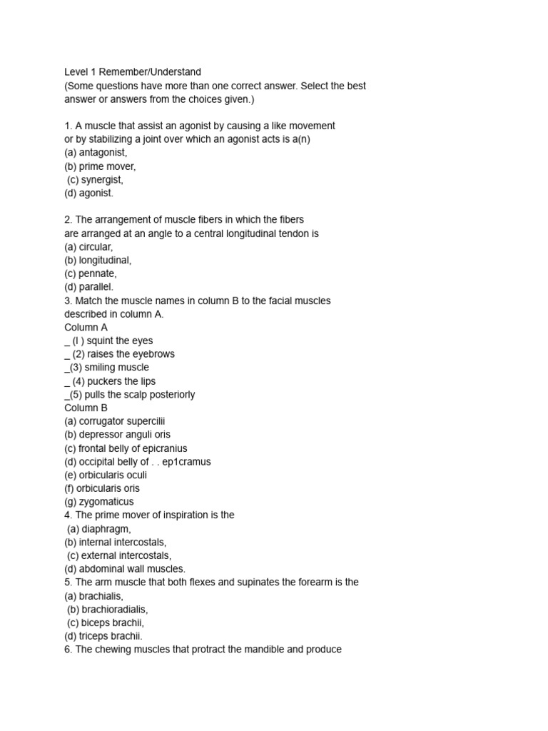 Muscles Questions PDF Anatomical Terms Of Motion Musculoskeletal
