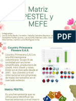 Matriz Mefe y Pestel