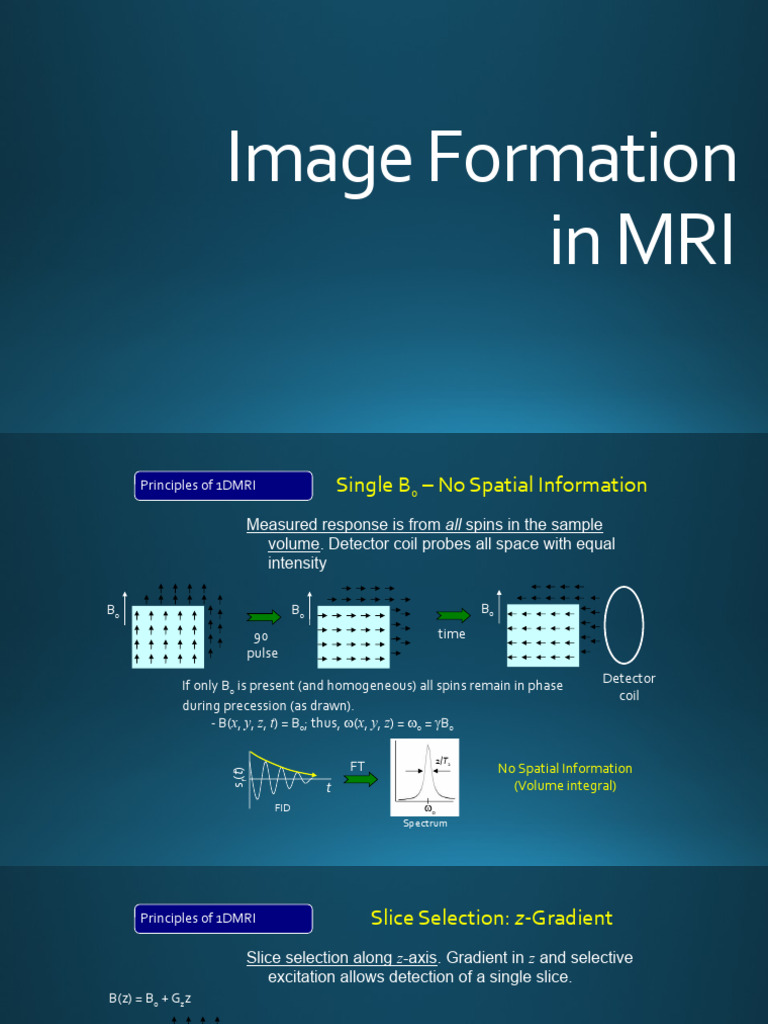 Image Formation in Mri PDF