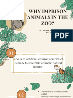 Zoo's Animals 