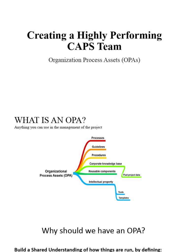Caps Team Organizational Structure PDF Decision Making Project