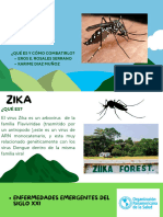 Virus Del Zica / Salud Publica