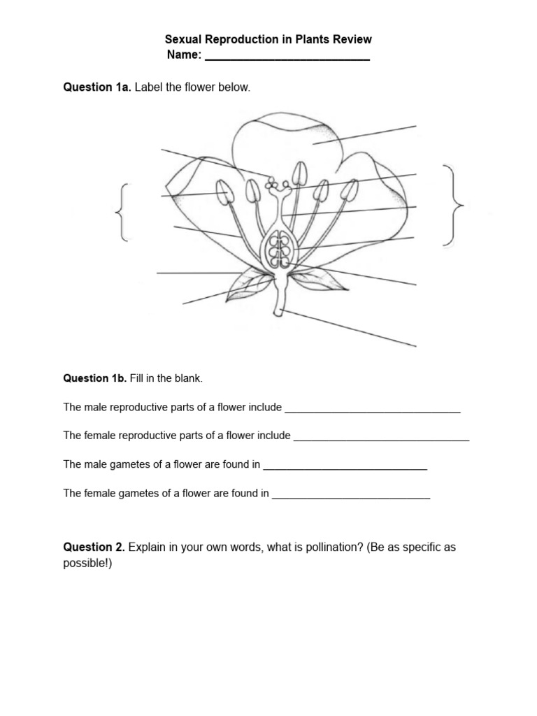 Sexual Reproduction in Plants Review Name Question 1a. Label The