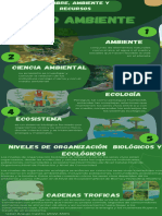 Infografía Sobre Cuidado de Plantas Didáctico Verde Oscuro - 20230920 - 163123 - 0000