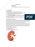 Urinary System