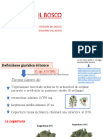 Bosco Prima Parte