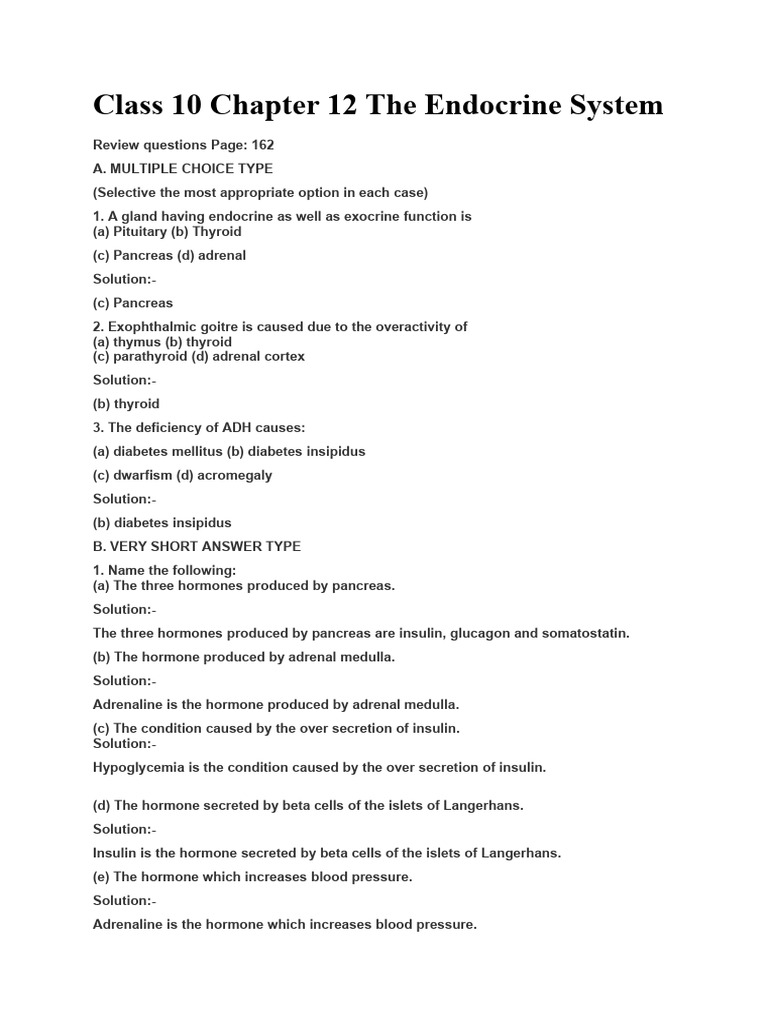 Class 10 Chapter 12 The Endocrine System | PDF | Pancreas | Endocrine ...