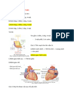 Lec 1 - MCQ